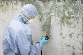 Trusted Bethesda, OH Mold Inspection Experts